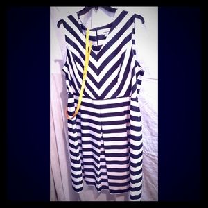Plus-Sized 22W Shelby & Palmer B&W Dress w/ Belt!